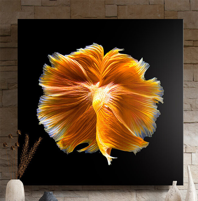 Fine Art Photography on ChromaLuxe Metal Print