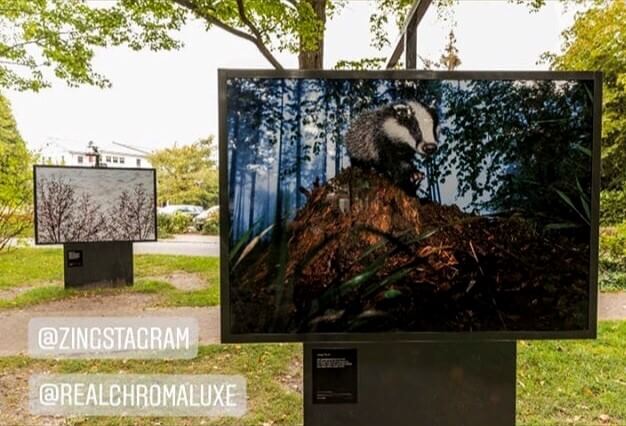 Outdoor exhibition by Klaus Echle